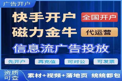 谷歌SEM案例研究：数据分析与效果评估